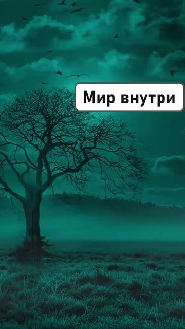 ИЗОБИЛИЕ ВСЕЛЕННОЙ ВО МНЕ: Аффирмации на Богатство и Поток Процветания | Деньги Приходят Легко!