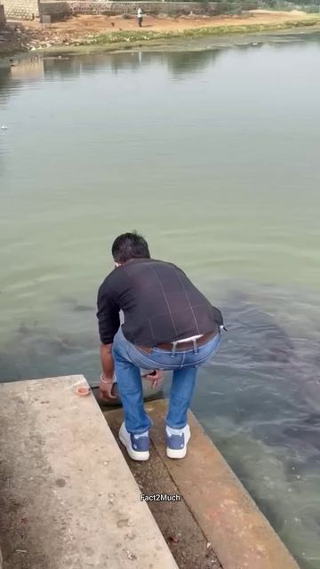 हेल्पिंग मेन #shortsvideo