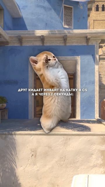 готов к катке #csgo #cs2meme #memes #кс2 #cs2memes #cs2moments