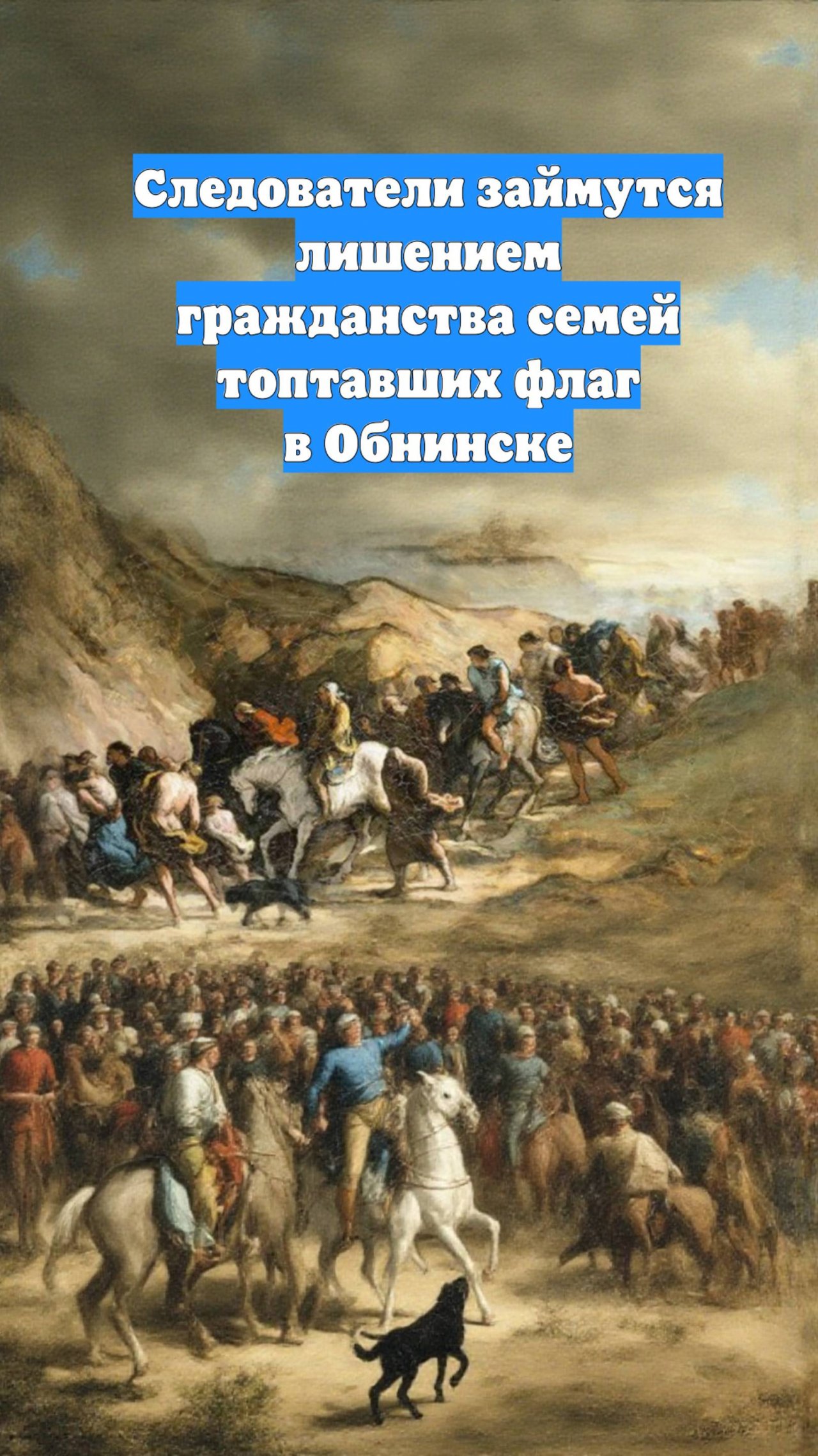 Следователи займутся лишением гражданства семей топтавших флаг в Обнинске