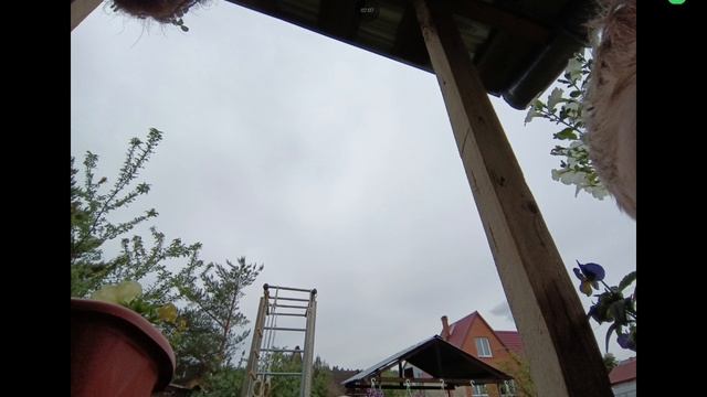 1000003576.mp4