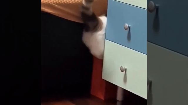Не рассчитал😜