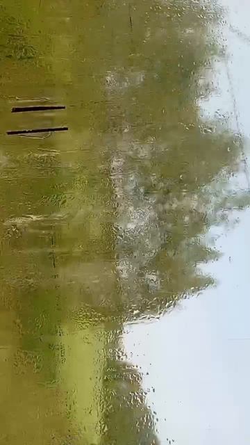 scene_output.mp4