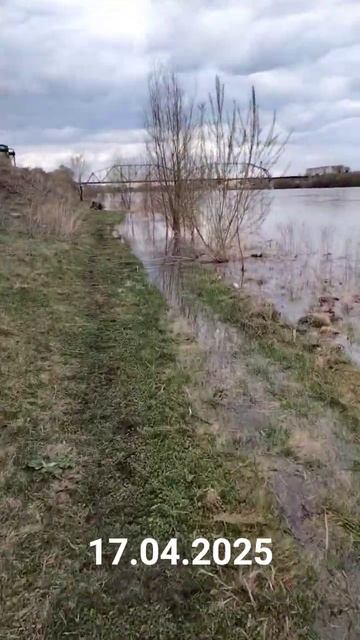 #велосипед #река #иртыш #вода #берег #велопоездка #велоп