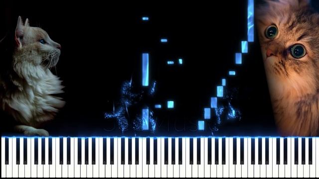 Танец маленьких котят - Д.Яхимович