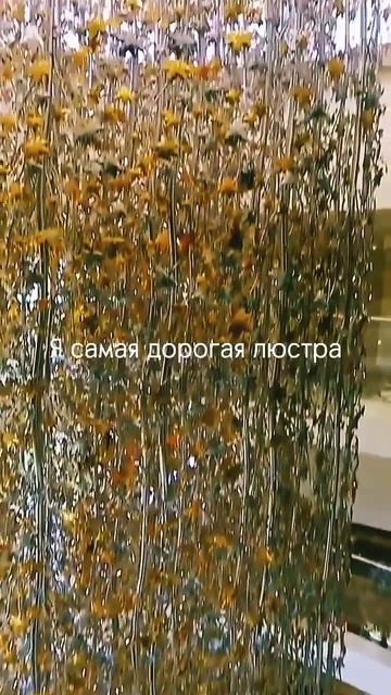 Какую люстру хотели б вы?