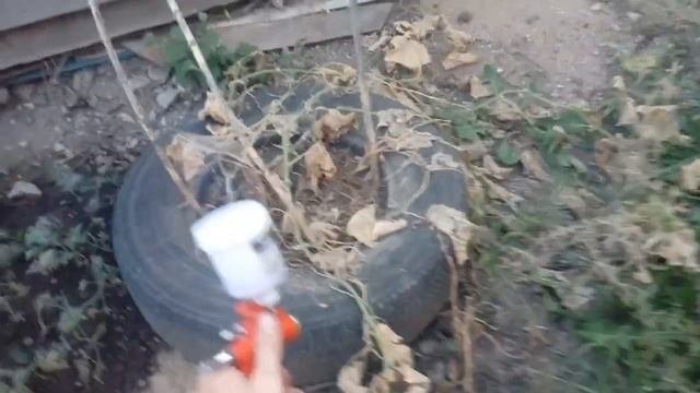 краскопульт мини