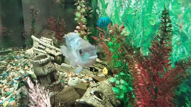 VID_20250605_191002.mp4