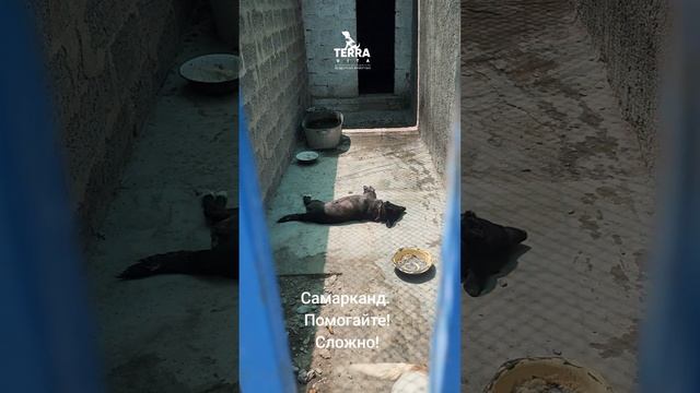 помогите!
