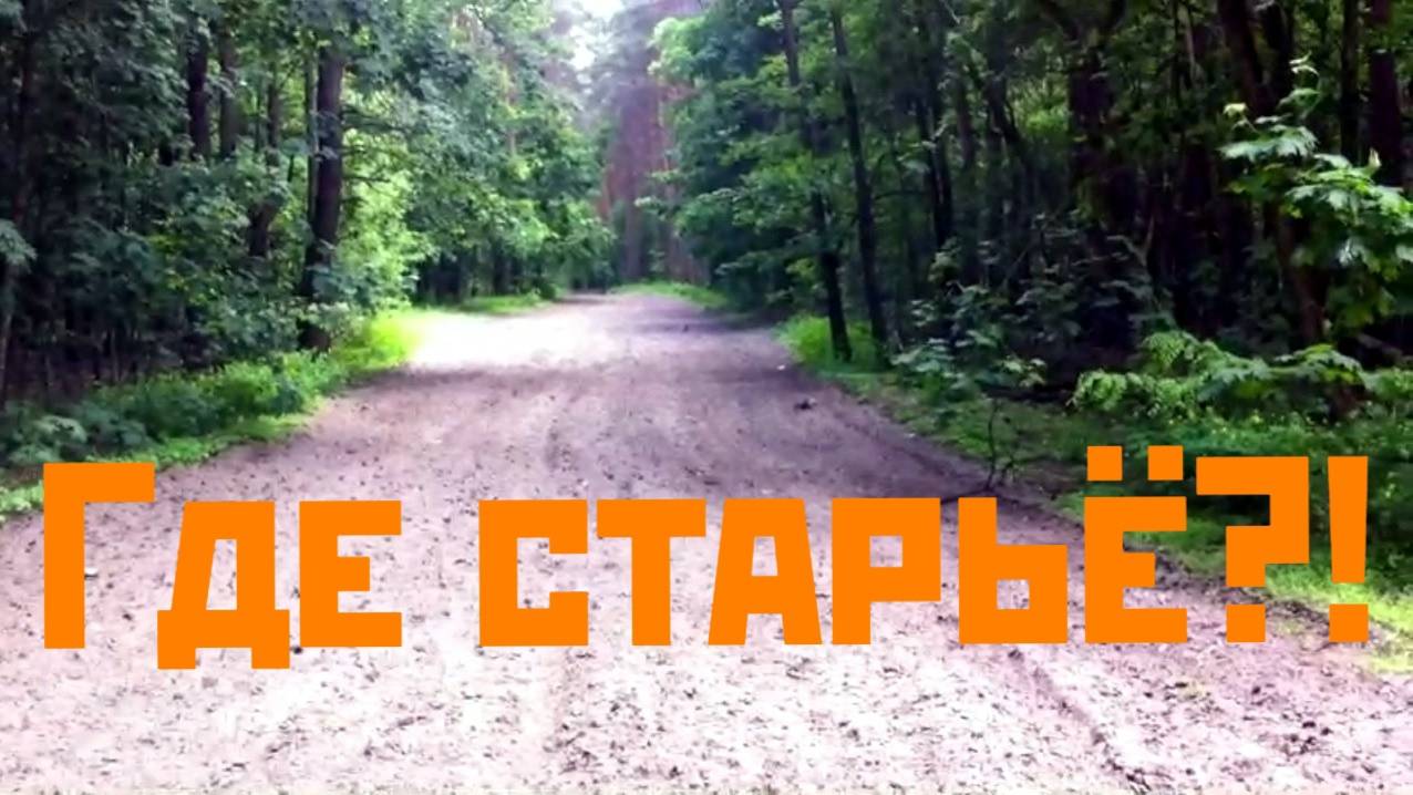 В поисках СТАРОЙ дороги... Советы вместо царей!