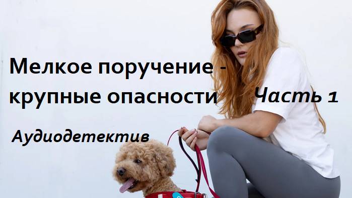 Аудиокнига "Мелкое поручение - крупные неприятности"