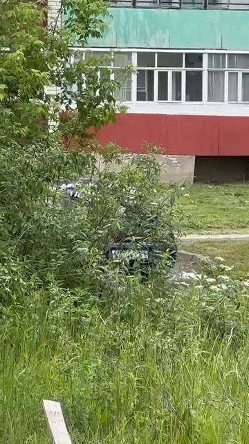 Милфа купила