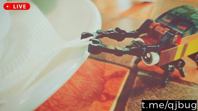Приключения пластмассовых жучков - QJ BUG - DJ MARKOVICH - фестиваль драм-энд-бейс 2025 музыки СПб