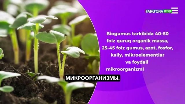 Фермерам Узбекистана поставили продукции более 1600 то?