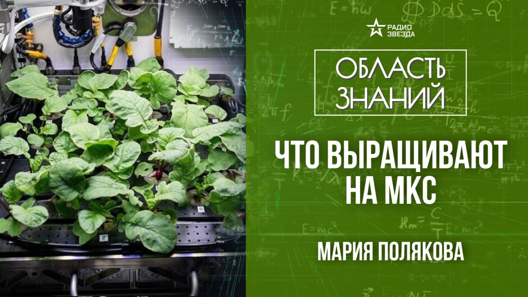 Космическое растениеводство. Лекция агронома Марии Поляковой