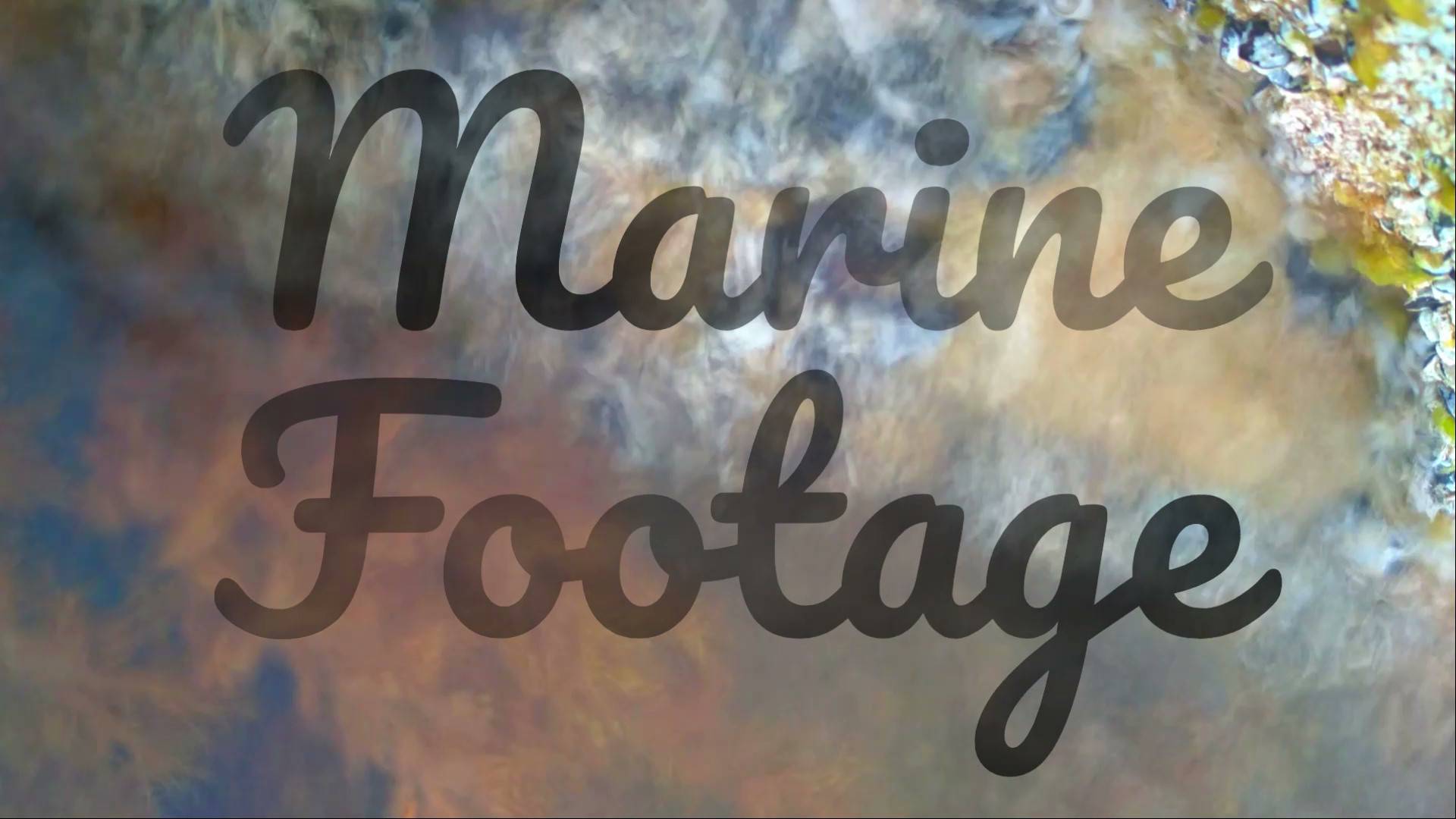 Marine footage