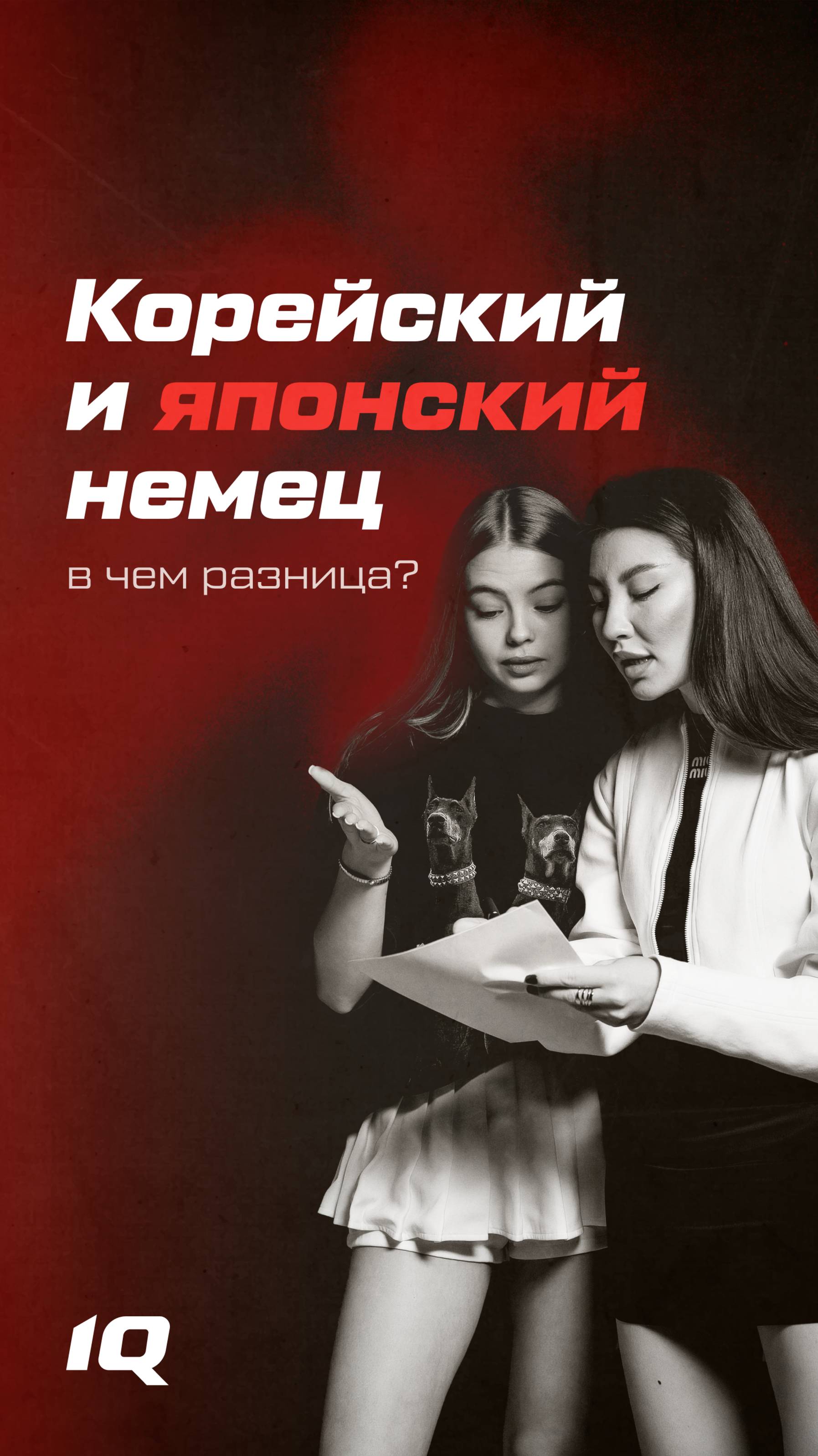 В ЧЕМ РАЗНИЦА МЕЖДУ КОРЕЙСКИМ И ЯПОНСКИМ НЕМЦЕМ?