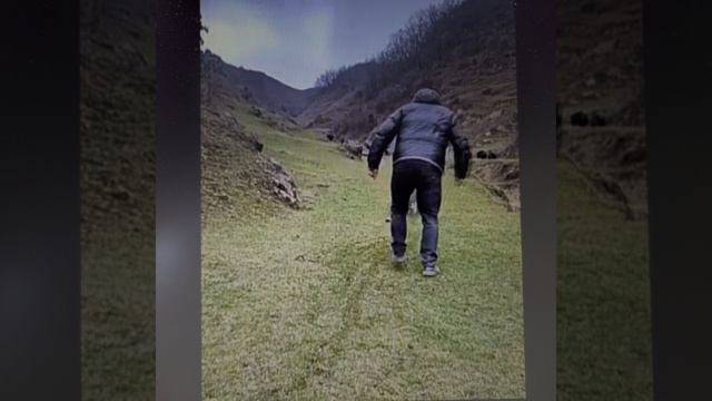 Весёлый пастух