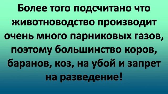 5-Заключительное полотно событий.