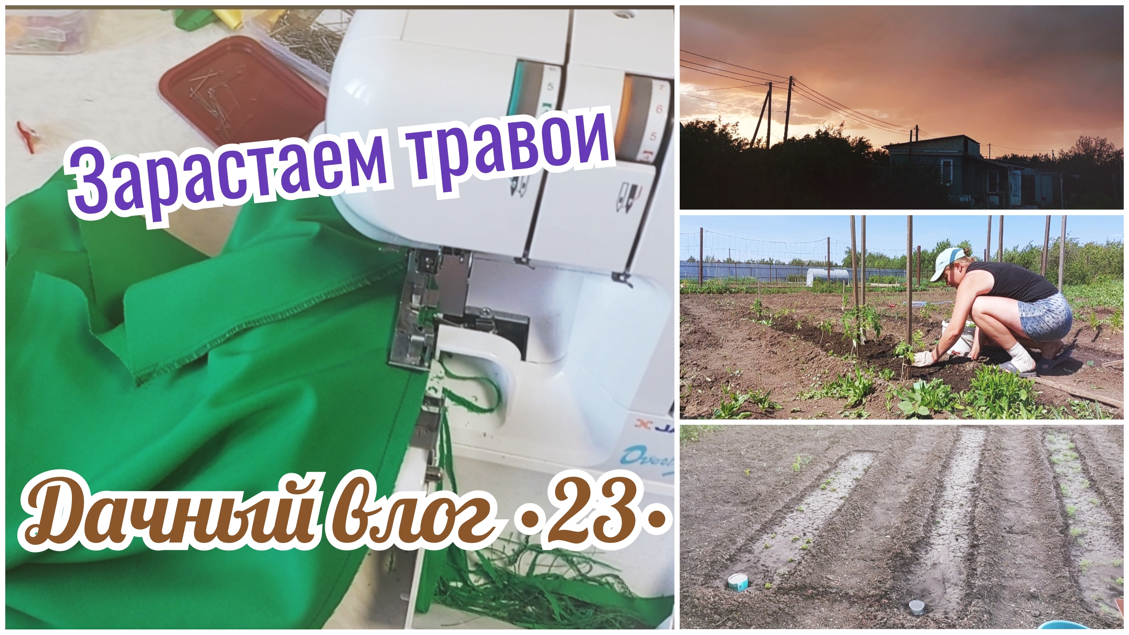 🏡 МНОГО ТРАВЫ || ☀️ Выросли мои посадки || Потерялась кошка || Подсадила помидоры