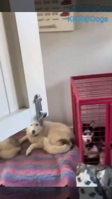 Хор мальчиков😂🙄