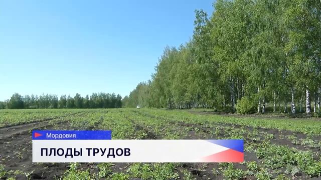 Новости "Волга 24" 05.06.2025. Утренний выпуск