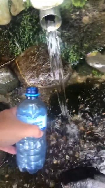 Водица ключевая