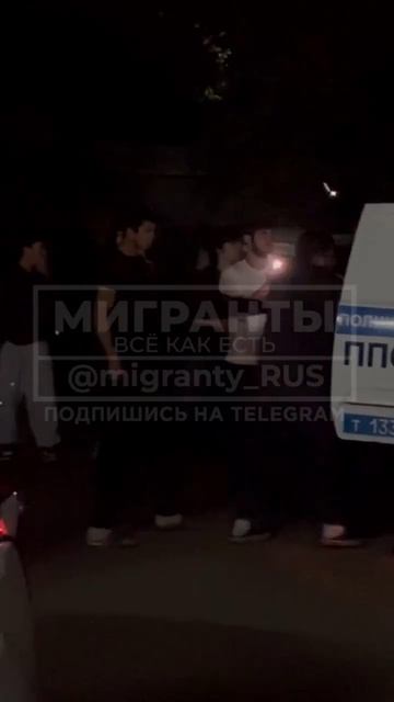 НАПАЛИ НА ПОЛИЦЕЙСКИХ: в соседнем Ставрополе мигранты напали на полицейских с целью отбить своего.