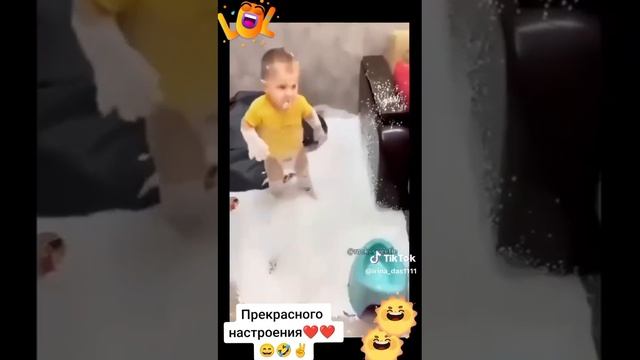Ну как можно на них сердиться...