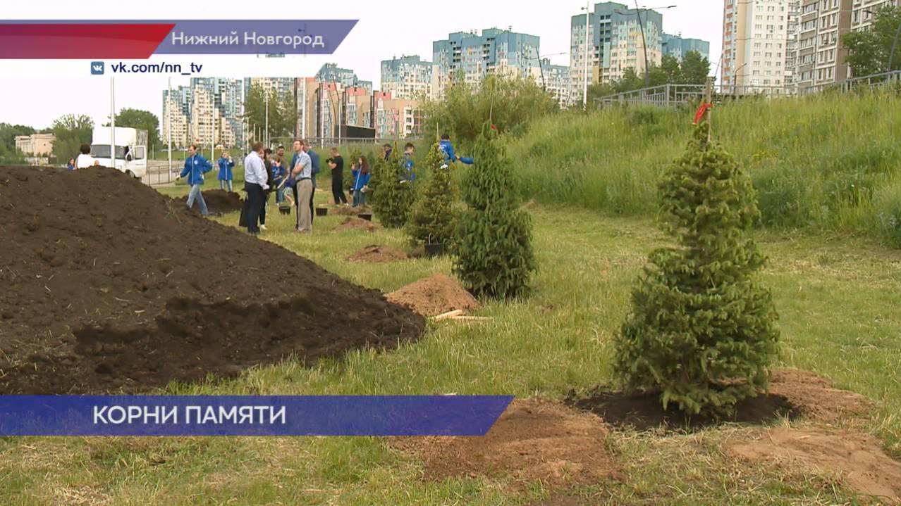 Молодые ели высадили на Волжской набережной в память о героях