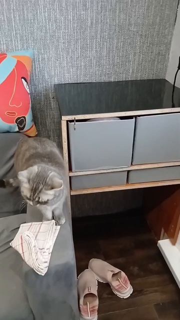 Создаю новое из старых вещей.