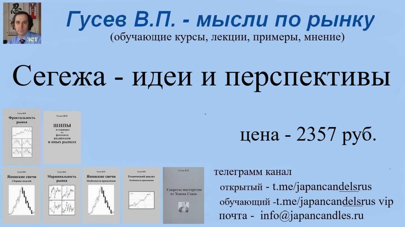 2025-06-05 Сегежа идея и перспективы