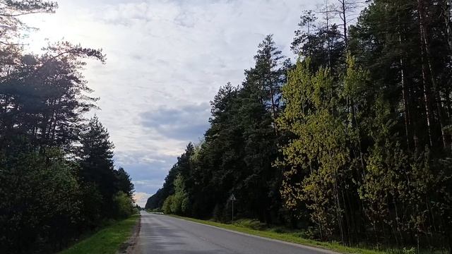 От мемориала в Кременках до кладбища Вязовня. Прогулки близ Протвино