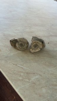 Находка при копке колодца