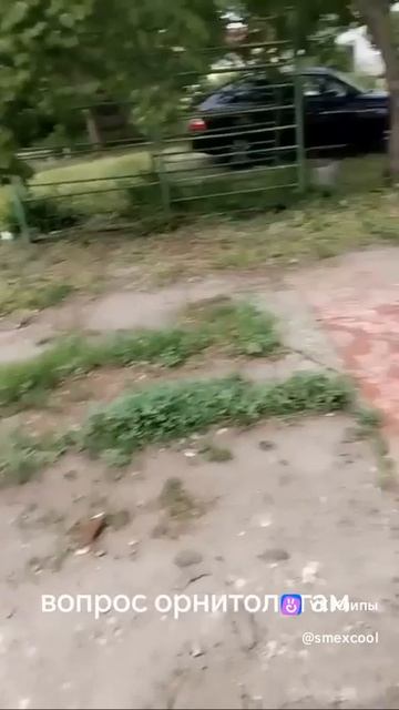 Вопрос 😂