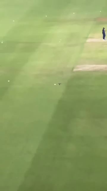 rare thing happened in stadium