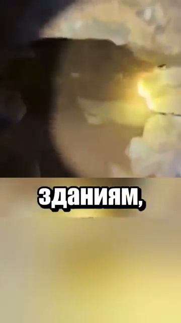 i11ushenka (156)