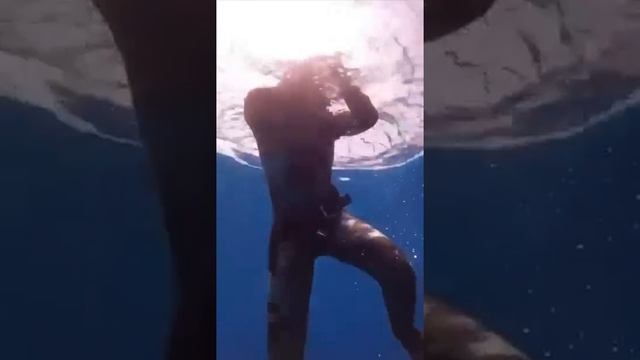 🐙 Приморский дайвер чудом спасся от смертельного захвата осьминога