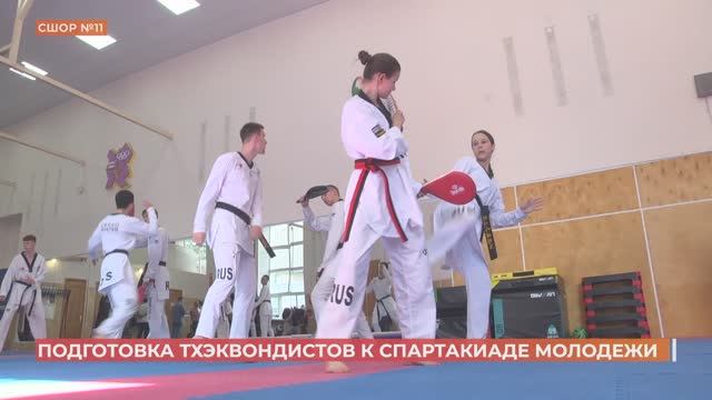 Донская команда по тхэквондо на летней спартакиаде молодежи России будет самой большой в истории
