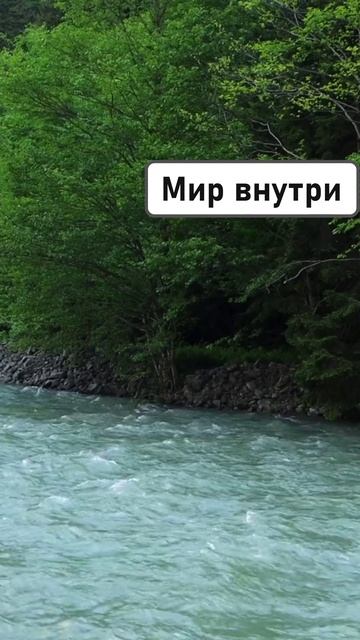 СИЛА БЛАГОДАРНОСТИ! Аффирмации, привлекающие изобилие #shorts