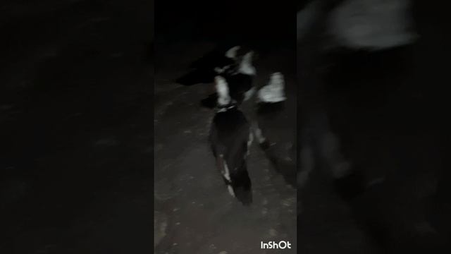 ПроПокупки.Озон.Уличный фонарь на солнечной батарее с тремя режимами.Обзор.Фильм2.Серия4  .mp4