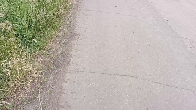 солдаты  обокрали и вынесли все