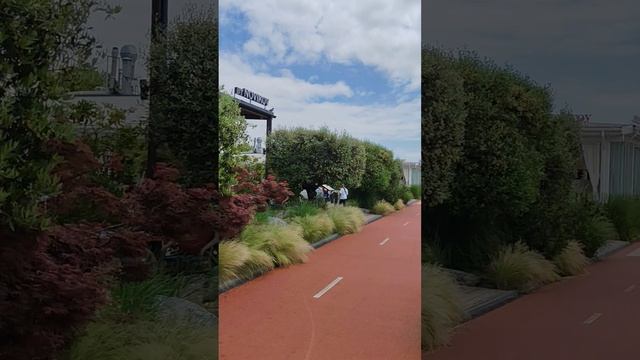 Променад по набережной Сириус Сочи...