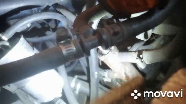 MovaviClips_Video_20250604-035108.mp4