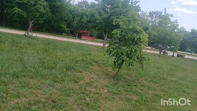 выпуск от 05.06.25 . Липецк. Усадьба Скорняково.
