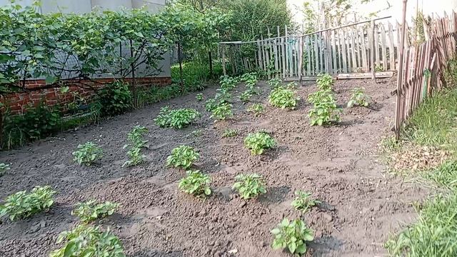 1000029714.mp4  5 июня 2025 года. Сегодня день 
ударный был.