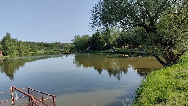 Рано утром.