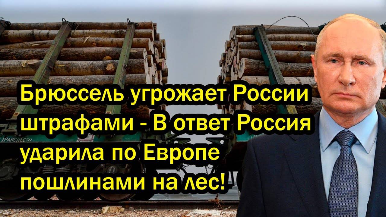 Брюссель угрожает России штрафами - В ответ Россия ударила по Европе пошлинами на лес