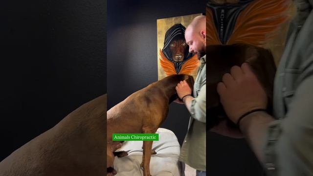 #shorts.mp4