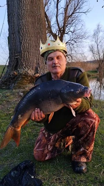Король в битве 🎣🐟👍